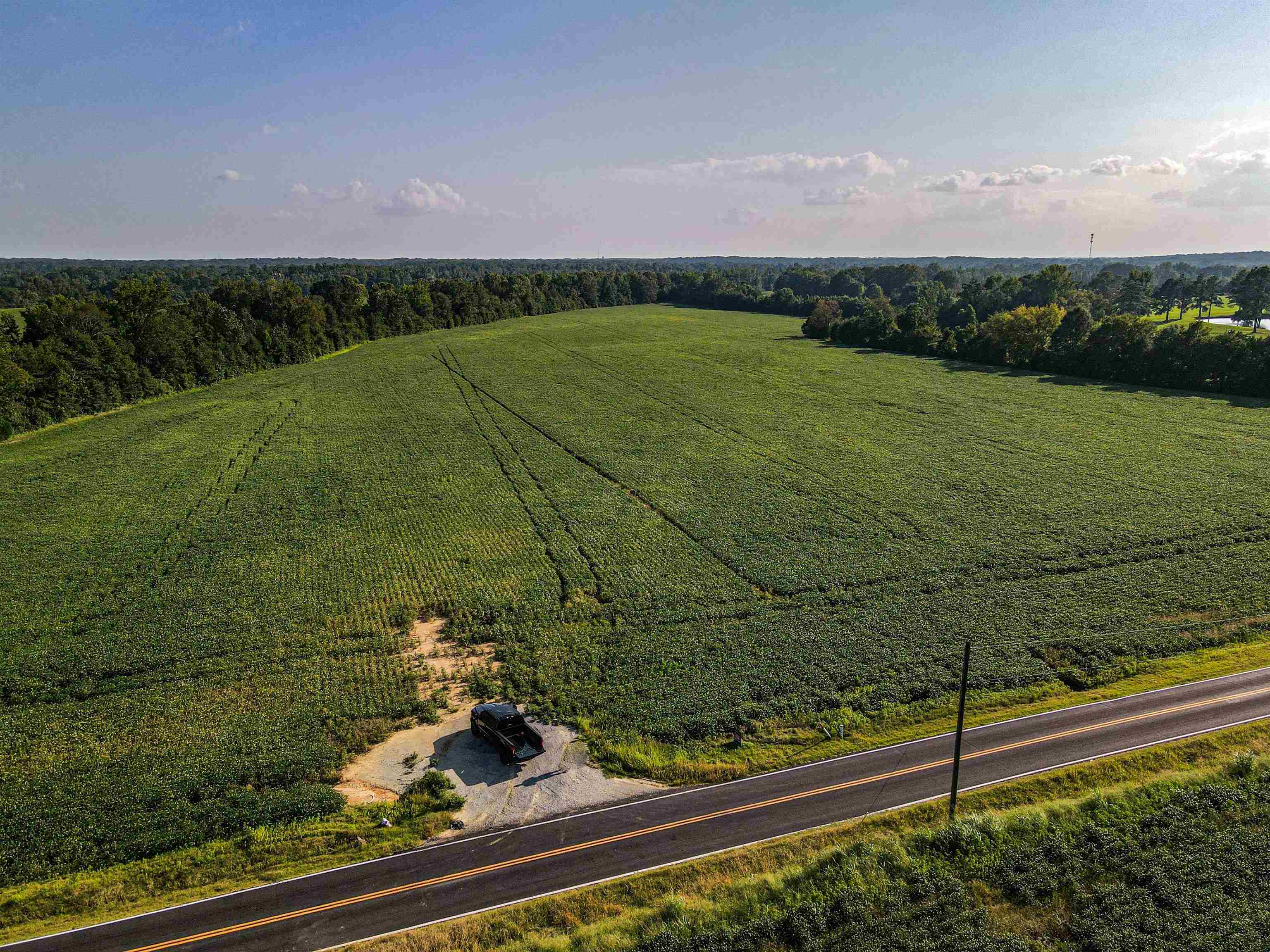 Bragg Road Eads, TN 38028 - Photo 2 of 6