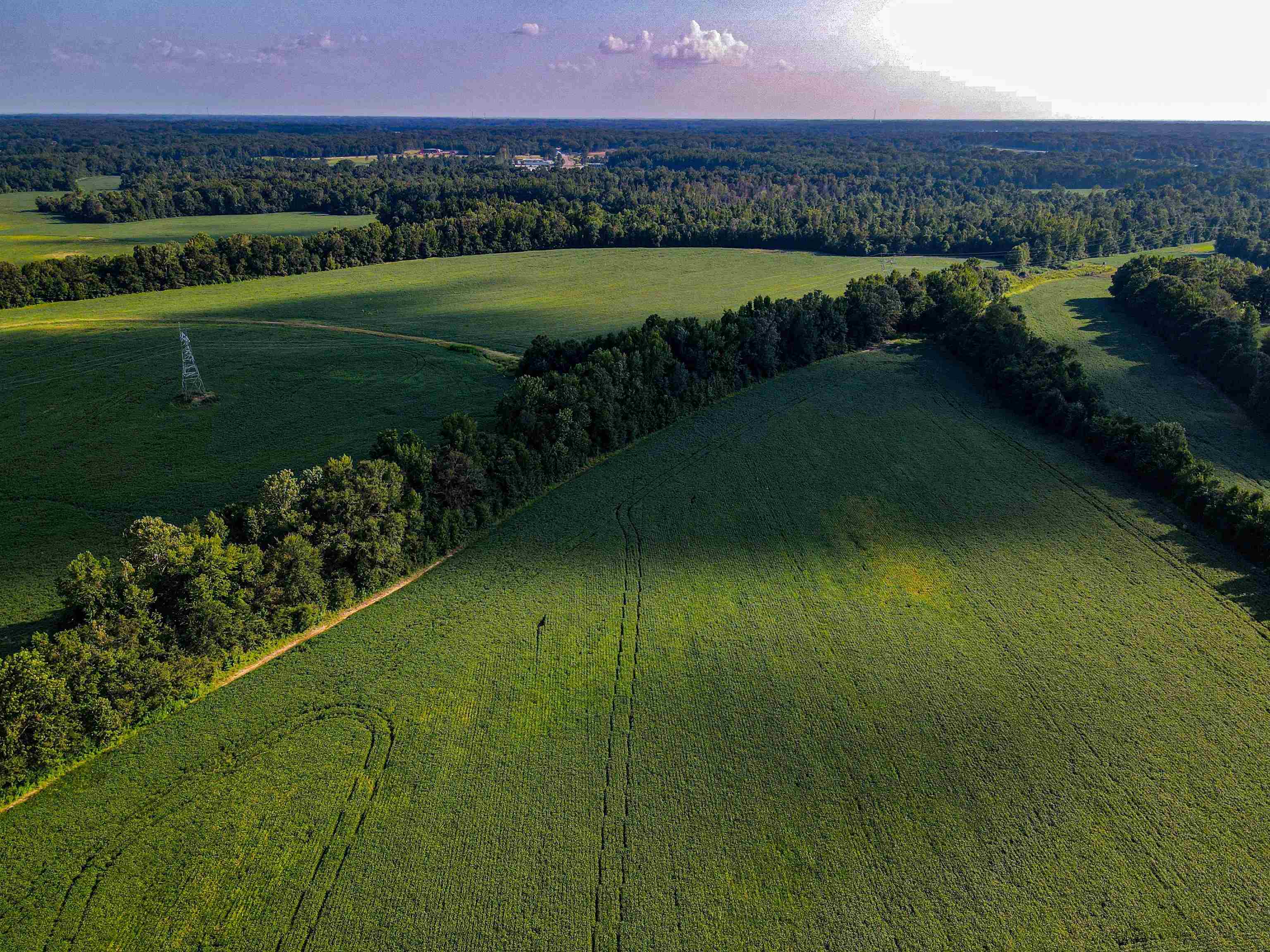 Bragg Road Eads, TN 38028 - Photo 4 of 6