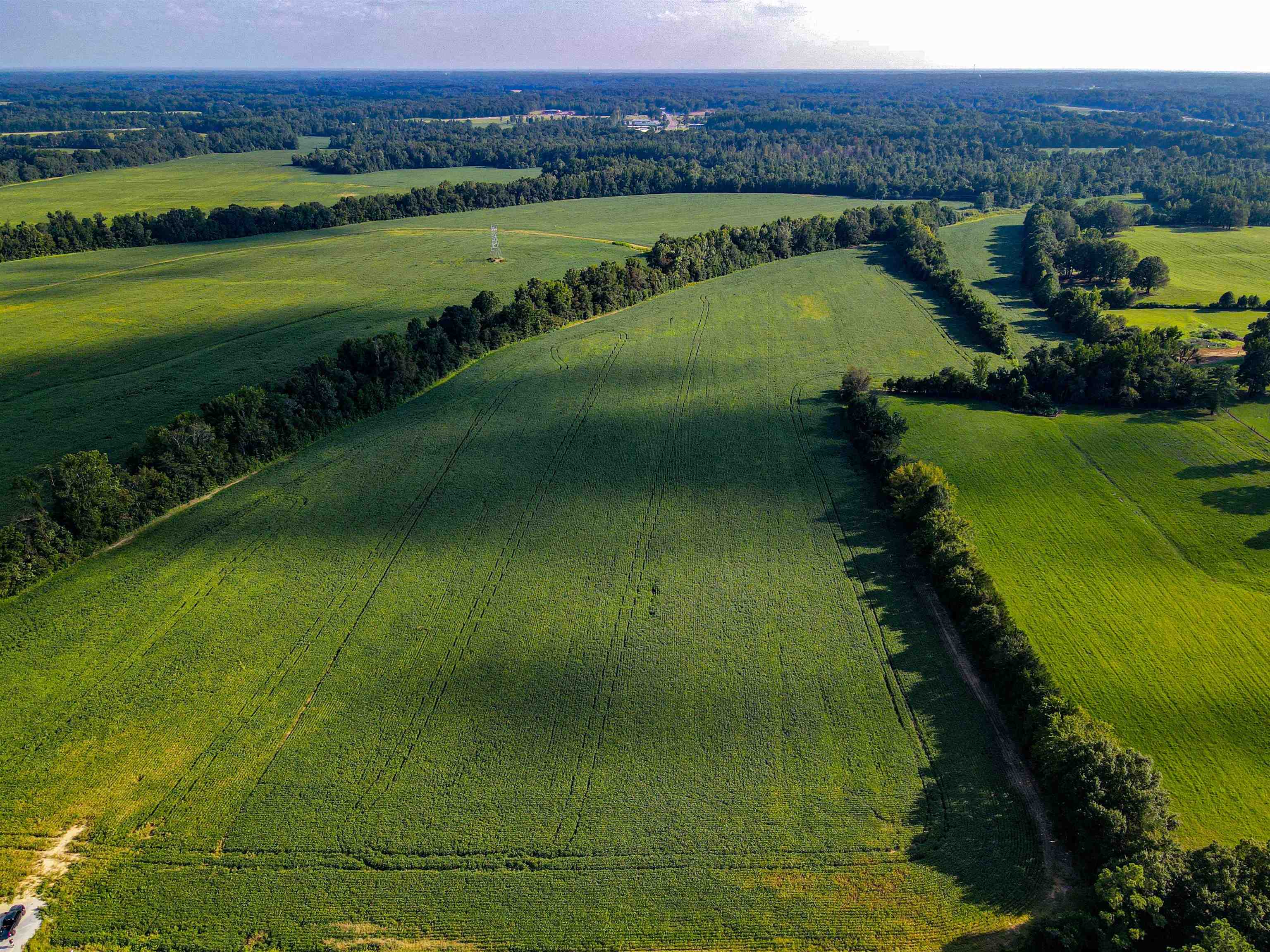 Bragg Road Eads, TN 38028 - Photo 5 of 6