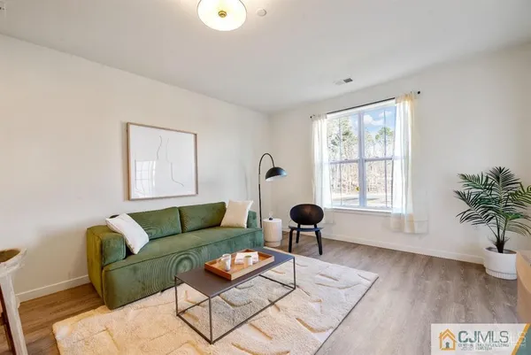 a living room with furniture and a couch