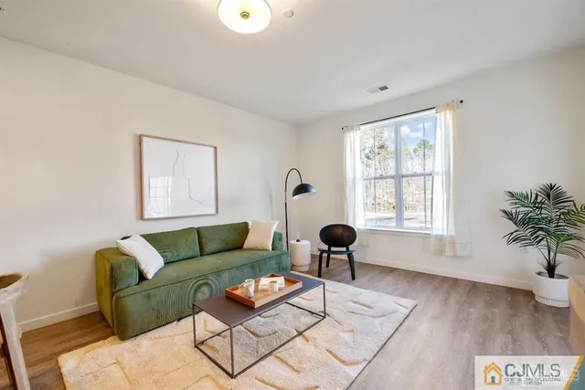 a living room with furniture and a couch