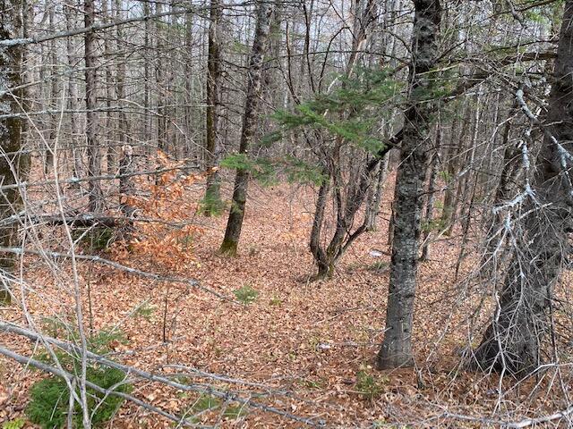 11-7 Greenville Road Monson, ME 04464 - Photo 6 of 8 IMG_4149