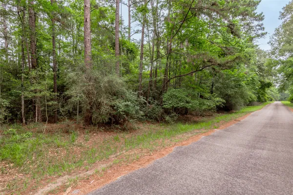 $9,167 | 389 Live Oak Drive, Trinity, TX 75862