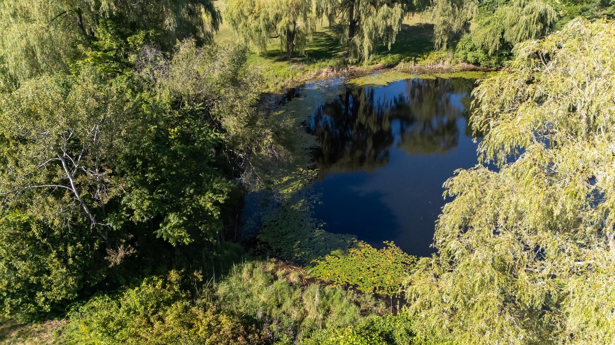 135 Amherst Street, Unit 28 Amherst, NH 03031 - Photo 43 of 44