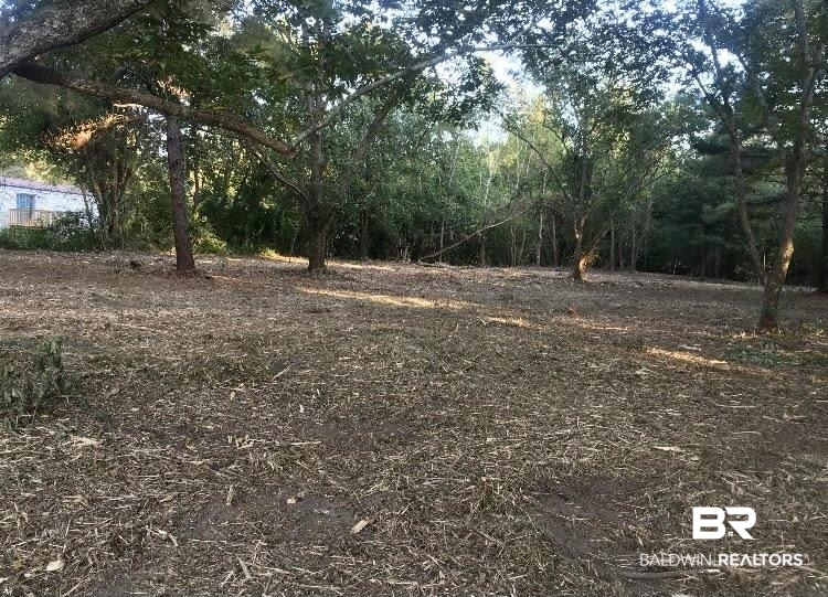 7498 A Rabbit Run Road Fairhope, AL 36532 - Photo 5 of 5