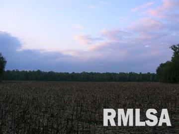 1 Rock Hole Road Stonefort, IL 62987 - Photo 6 of 7