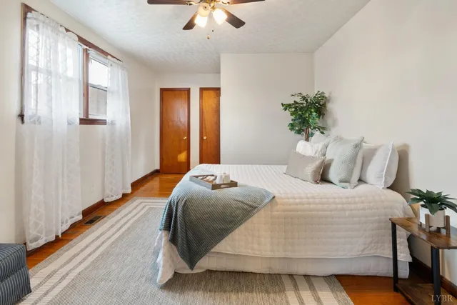 a view of a yard with plants and large trees