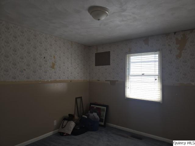 705 South Washington Street Carthage, IL 62321 - Photo 16 of 27 a room with a window