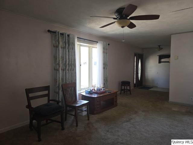 705 South Washington Street Carthage, IL 62321 - Photo 3 of 27 a room with furniture and window