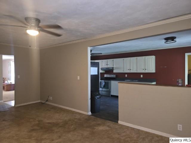 705 South Washington Street Carthage, IL 62321 - Photo 6 of 27 a kitchen with a refrigerator and a sink