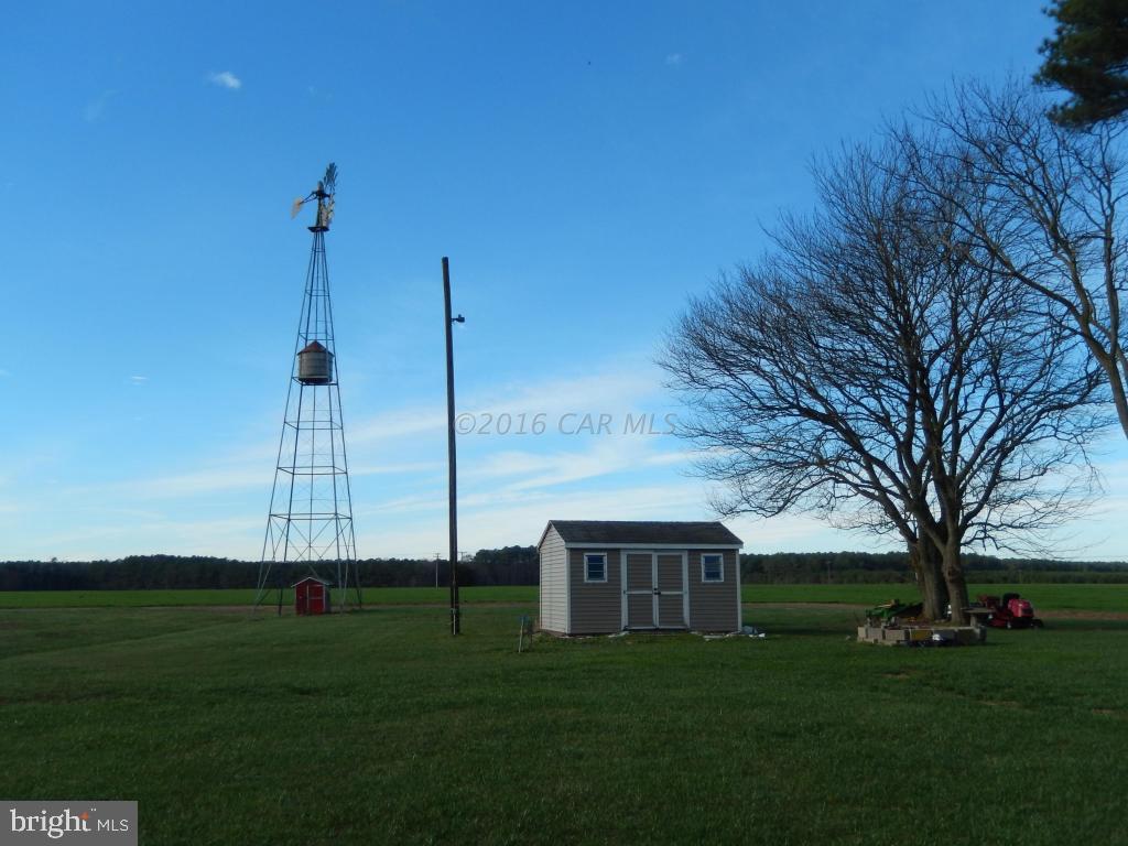 10298 Perryhawkin Church Road Princess Anne, MD 21853 - Photo 13 of 14