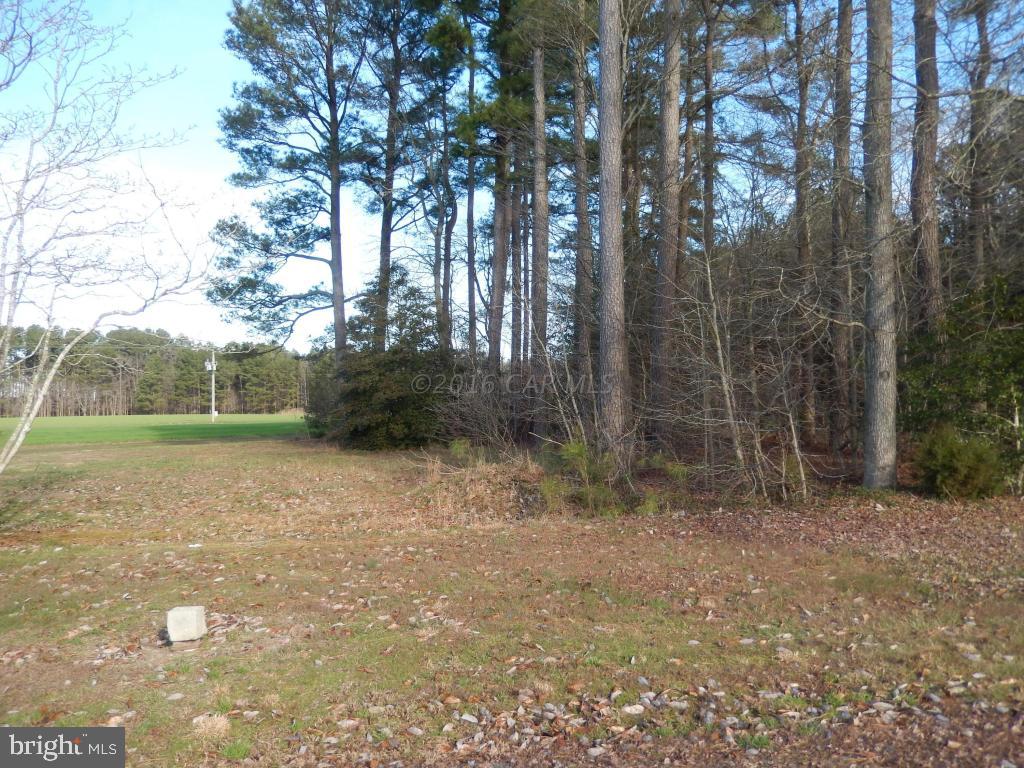 10298 Perryhawkin Church Road Princess Anne, MD 21853 - Photo 14 of 14