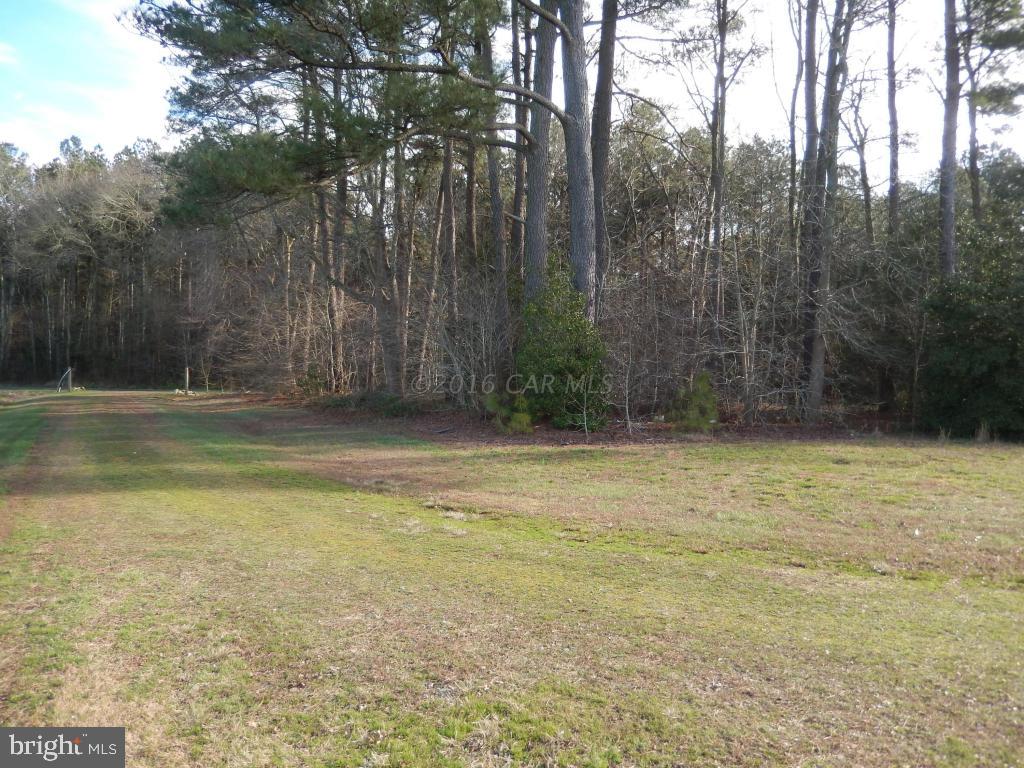 10298 Perryhawkin Church Road Princess Anne, MD 21853 - Photo 10 of 14