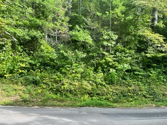 $99,900 | 10.61 East Charlies Creek Road, Hiawassee, GA 30546