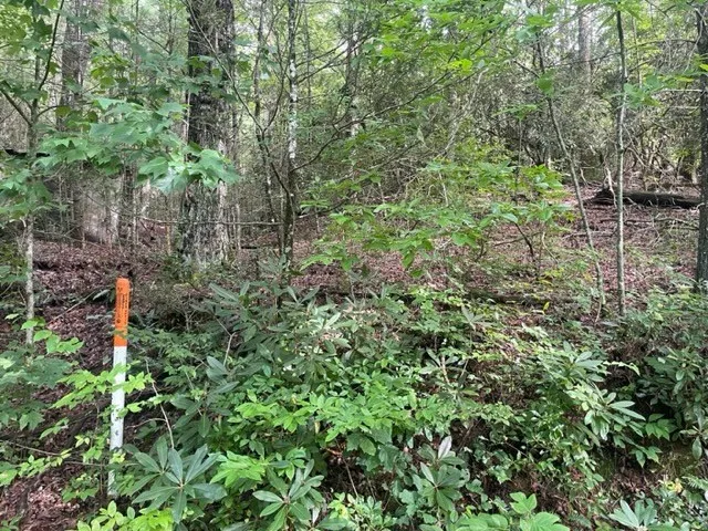 $99,900 | 10.61 East Charlies Creek Road, Hiawassee, GA 30546