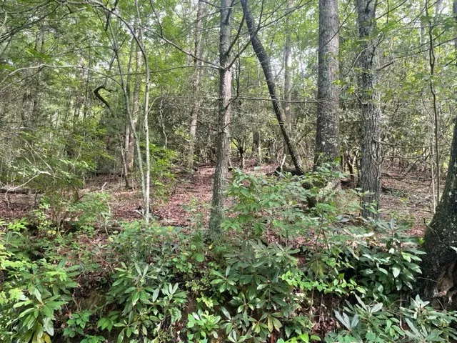 $99,900 | 10.61 East Charlies Creek Road, Hiawassee, GA 30546