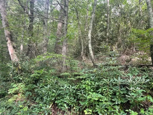 $99,900 | 10.61 East Charlies Creek Road, Hiawassee, GA 30546