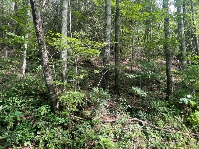 $99,900 | 10.61 East Charlies Creek Road, Hiawassee, GA 30546