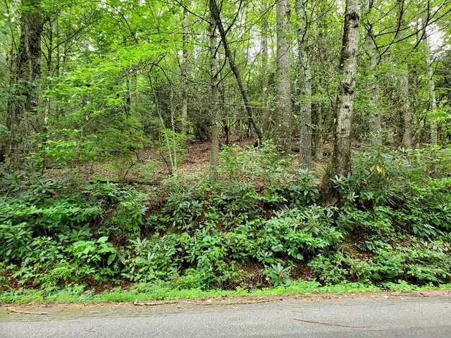 $99,900 | 10.61 East Charlies Creek Road, Hiawassee, GA 30546