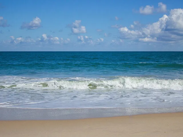 $5,900 | 1850 Bay Road, Unit 2E, Vero Beach, FL 32963