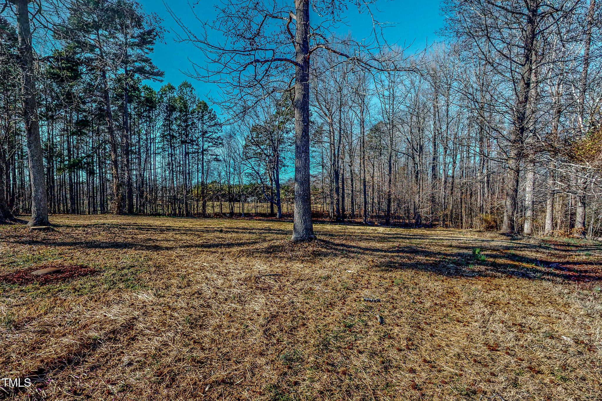 1044 Willie Gray Road Timberlake, NC 27583 - Photo 43 of 45 1044-Willie-Gray-Road-02182025_123754