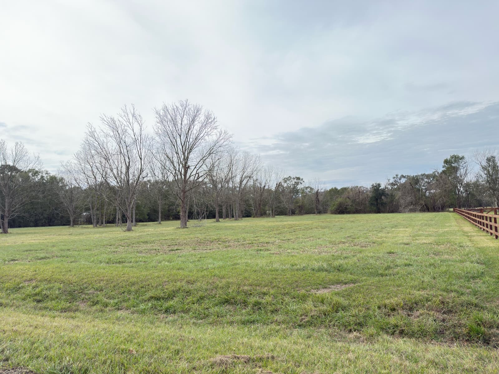 16834 Wrangler Road Rosharon, TX 77583 - Photo 2 of 4