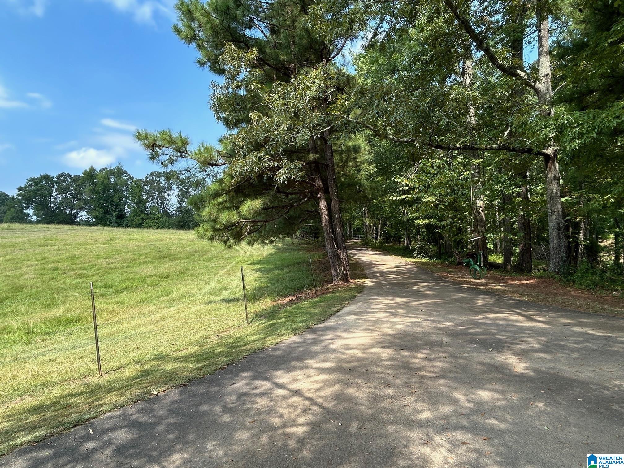 3300 Floyd Road Wellington, AL 36279 - Photo 4 of 11