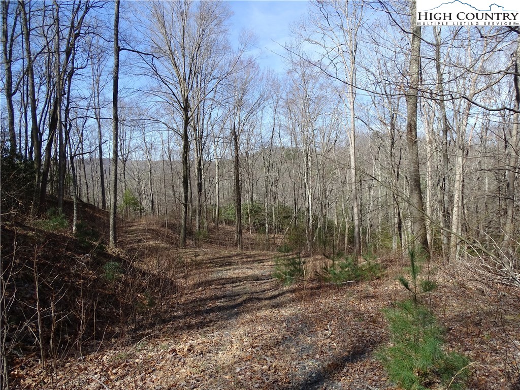 Love Rd Road Sugar Grove, NC 28679 - Photo 3 of 7 Gallery Image 3