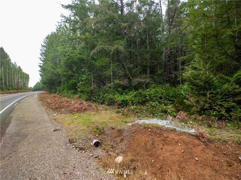 30 Mason Lake Road Grapeview, WA 98546 - Photo 8 of 26 Gallery Image 8