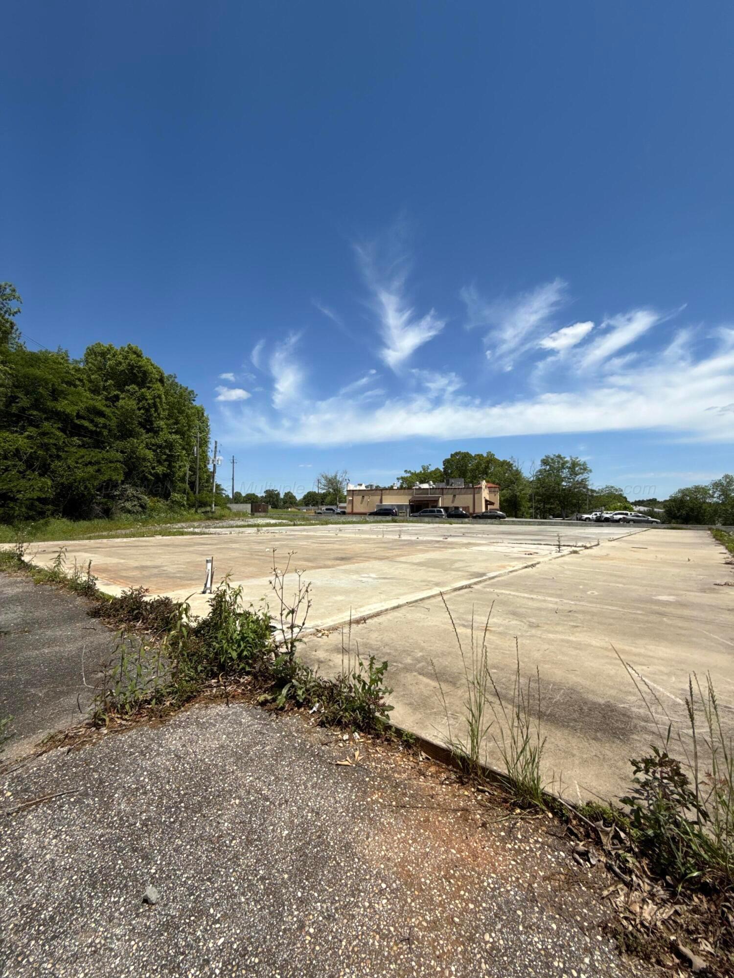 350 Thorndale Road Winfield, AL 35594 - Photo 7 of 9 image