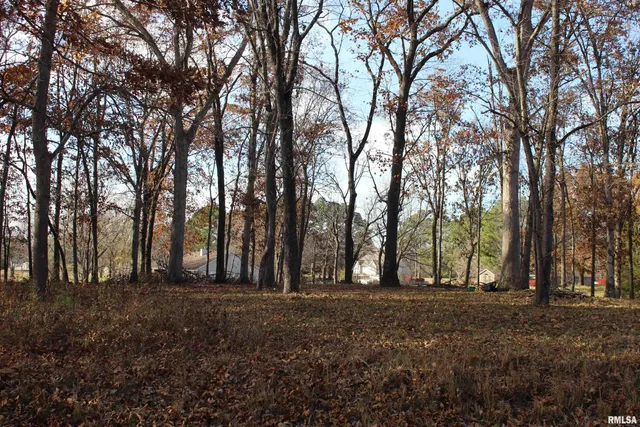 $28,900 | 0 Birdie Drive, Woodlawn, IL 62898