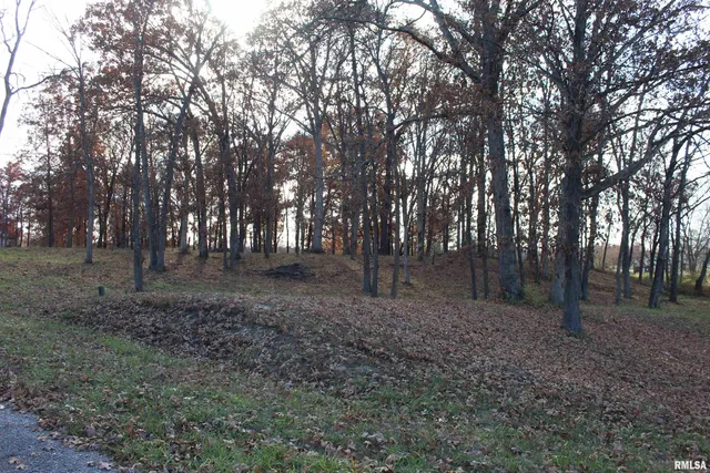 $28,900 | 0 Birdie Drive, Woodlawn, IL 62898