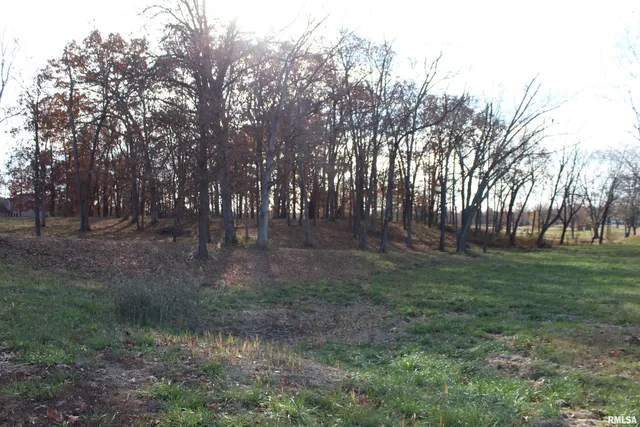 $28,900 | 0 Birdie Drive, Woodlawn, IL 62898