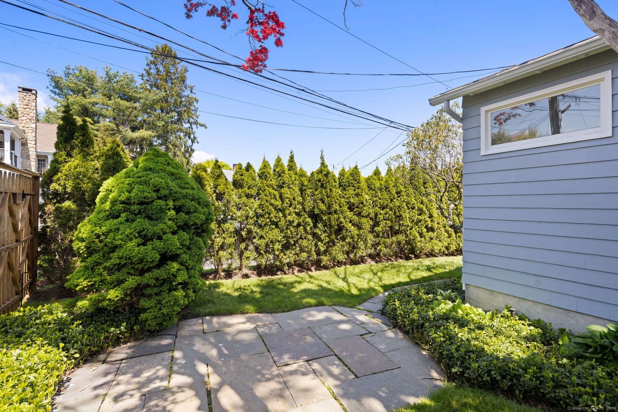232 Hillspoint Road Westport, CT 06880 - Photo 36 of 39 a plant that is in front of a house