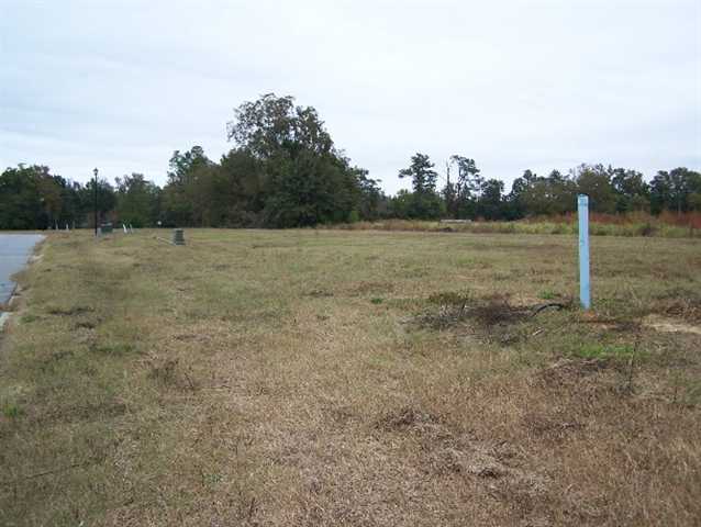 Lot 6 Cox Road Loris, SC 29569 - Photo 2 of 5 Gallery Image 2