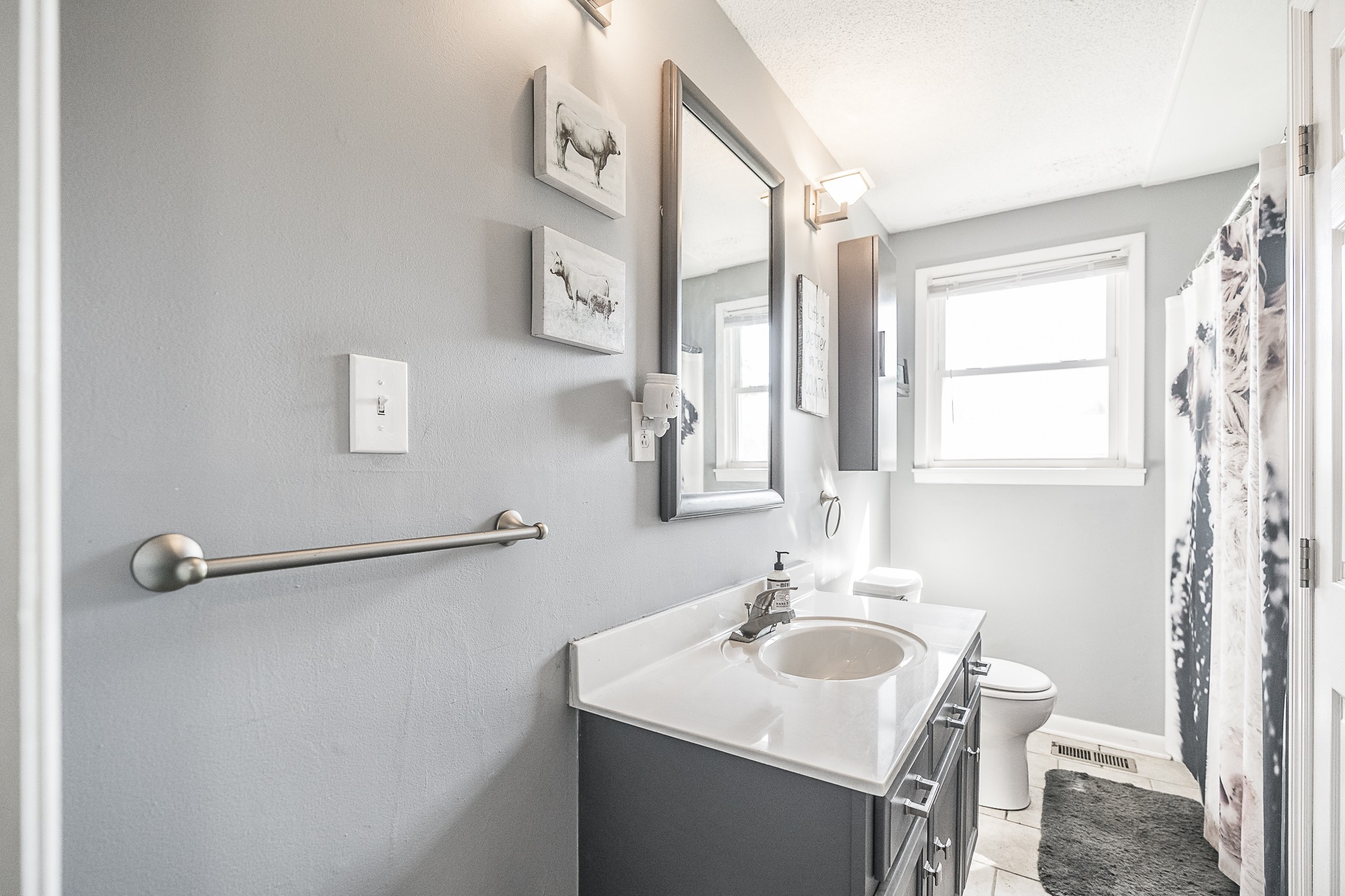 4451 Roy Cole Road Springfield, TN 37172 - Photo 14 of 43 a bathroom with a sink vanity and a mirror