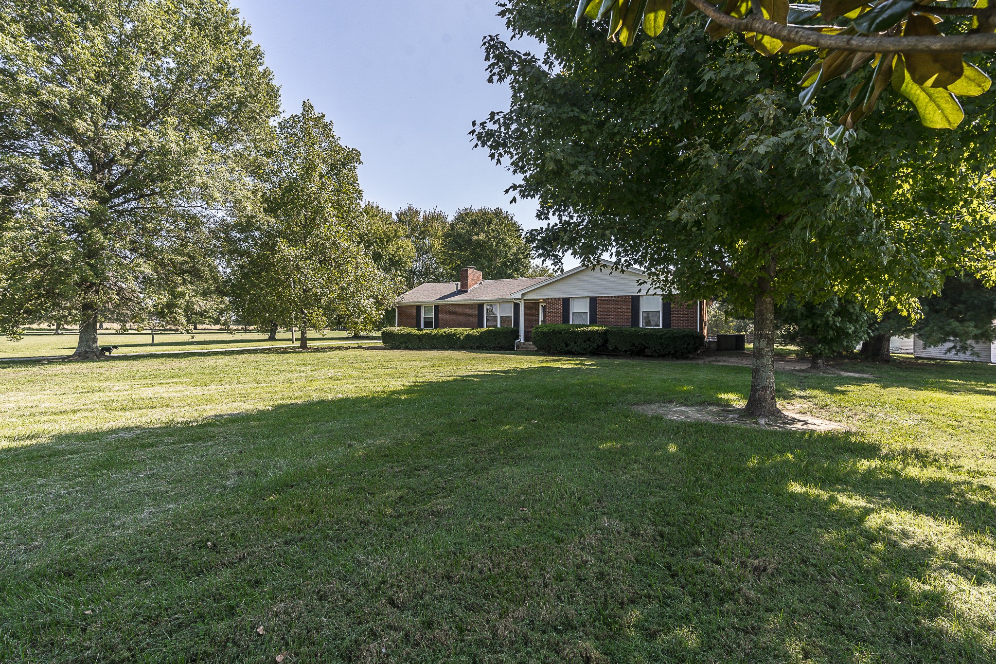 4451 Roy Cole Road Springfield, TN 37172 - Photo 3 of 43 a house view with swimming pool and trees in the background