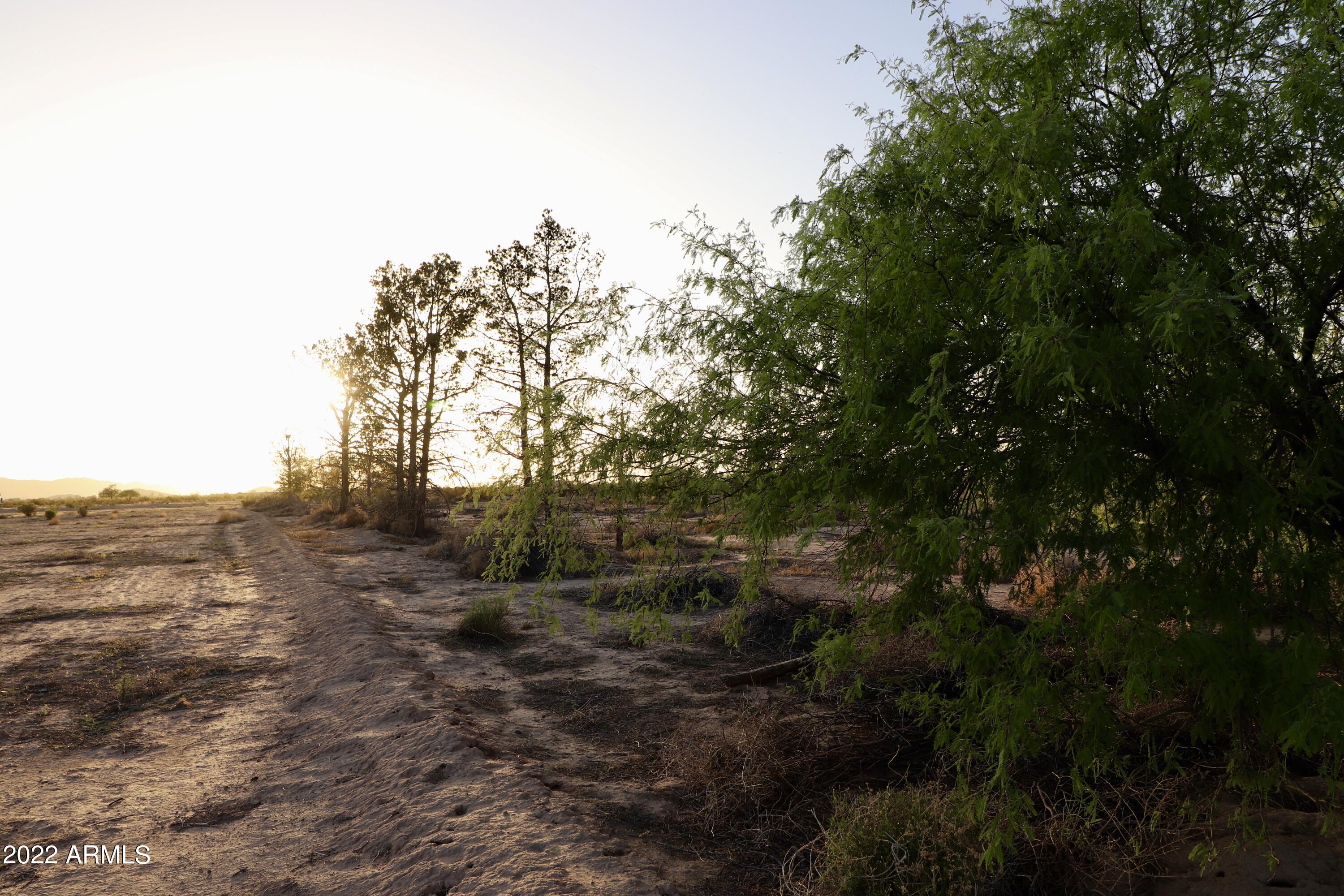 0 South Tweedy Road Eloy, AZ 85131 - Photo 27 of 36 fullsizeoutput_61f