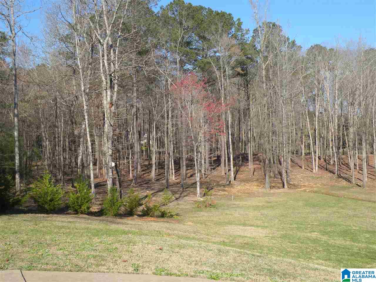 115 Savannah Ridge Sylacauga, AL 35150 - Photo 32 of 34
