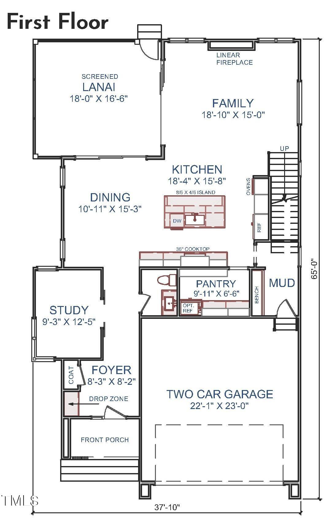 1st Floor