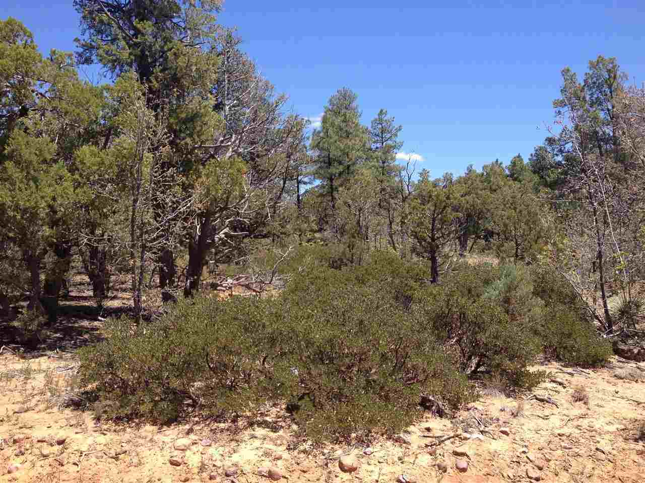 931 South Falling Leaf Road Show Low, AZ 85901 - Photo 3 of 3 Gallery Image 3