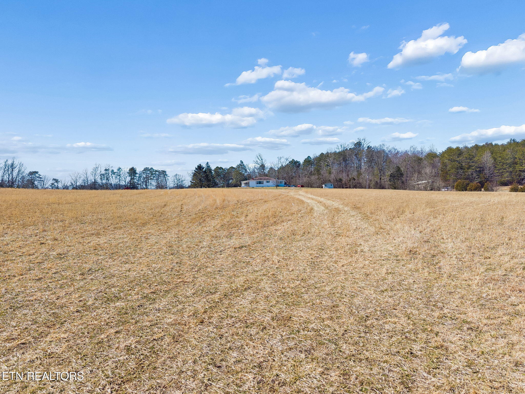 1451 Fairview Road Tellico Plains, TN 37385 - Photo 50 of 54 48-1451 Fairview Rd Tellico Plains - 048