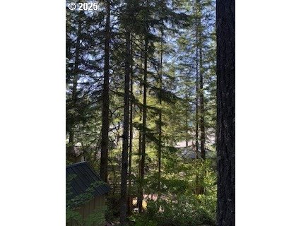 41 Northwoods Cougar, WA 98616 - Photo 30 of 33 a picture of a tree