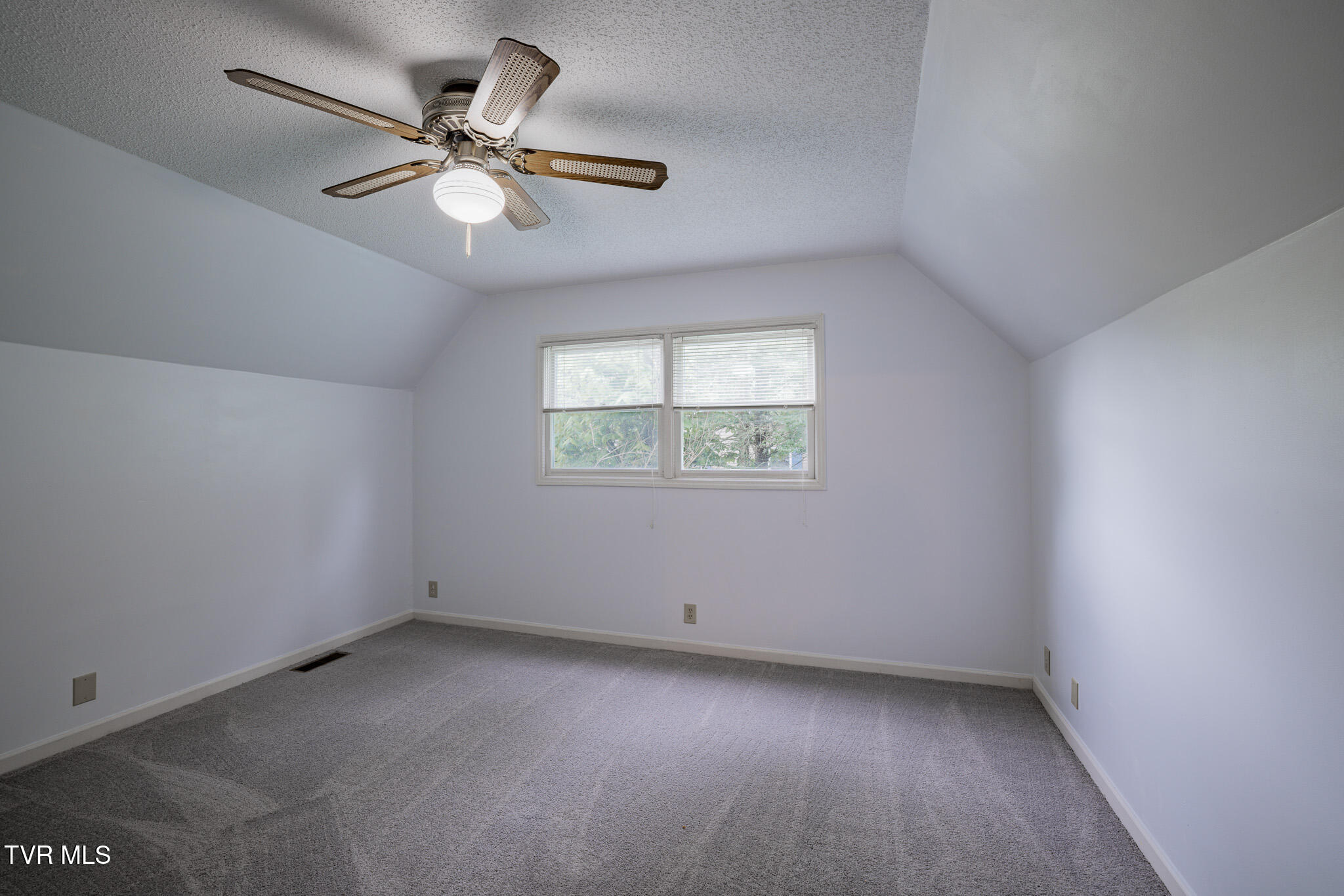 146 El Bowers Road Elizabethton, TN 37643 - Photo 25 of 40 1R9A7625-HDR