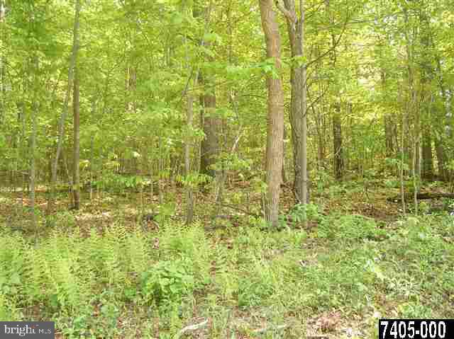 4588 Sportsman Club Road, Unit 3 Spring Grove, PA 17362 - Photo 2 of 3