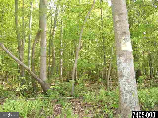 4588 Sportsman Club Road, Unit 3 Spring Grove, PA 17362 - Photo 3 of 3