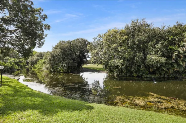 a view of a lake from a yard