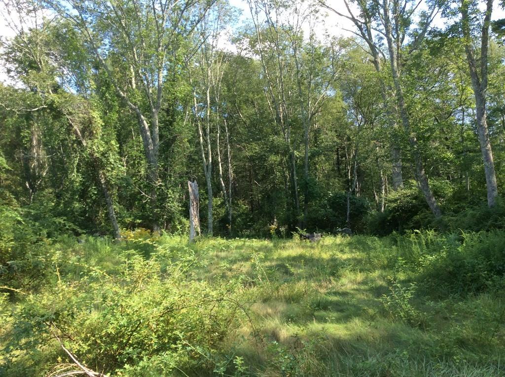 122 County Road Plympton, MA 02367 - Photo 7 of 23 Gallery Image 7
