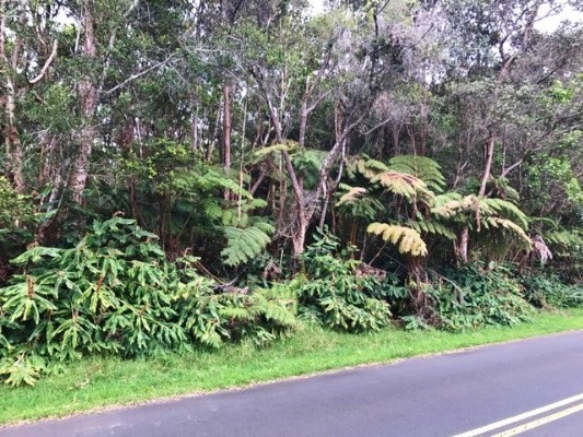 22 Wright Road Volcano, HI 96785 - Photo 1 of 3 Gallery Image 1