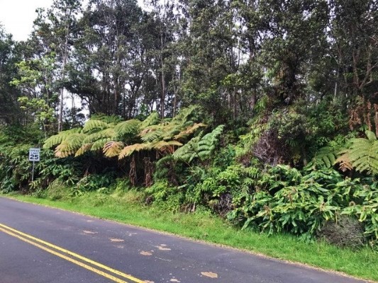 22 Wright Road Volcano, HI 96785 - Photo 2 of 3 Gallery Image 2